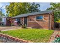 Well-kept single-story brick home with a lush green lawn and charming swing, offering suburban comfort at 1591 S Zuni St, Denver, CO 80223
