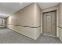 Carpeted hallway with neutral walls leading to a private door at 4800 E Hale Pkwy # 802N, Denver, CO 80220