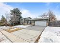 House exterior view, featuring a white garage door and landscaping at 446 Dione Pl, Lone Tree, CO 80124