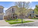 Two-story home with a manicured lawn and mature tree in a residential neighborhood at 2410 Morningview Ln, Castle Rock, CO 80109