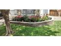 Well-maintained flower bed with a stone border adding curb appeal to the property at 12248 Kittredge St, Commerce City, CO 80603