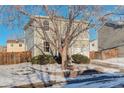 Two-story house with light beige siding, blue door, and attached garage, tree in front at 1267 Bluejay Ave, Brighton, CO 80601