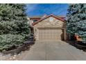 Two-car garage with a light brown door and stone exterior at 16507 Oakmoor Pl, Parker, CO 80134