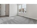 Well-lit bedroom featuring gray carpet, a closet, and large windows at 4125 River Oaks St, Castle Rock, CO 80104