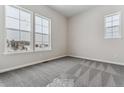 Spacious bedroom with gray carpeting and large windows offering natural light at 4125 River Oaks St, Castle Rock, CO 80104