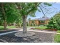 Inviting front view of a brick home with lush trees and green landscaping creating a serene atmosphere at 2664 Forest St, Denver, CO 80207