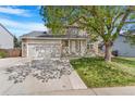 Attractive two-story home with stone accents, lush green lawn, and large shade tree at 524 Rider Ridge Dr, Longmont, CO 80504