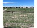 Spacious backyard with a large green field in the distance on a sunny day, perfect for outdoor activities at 14553 Hudson Way, Thornton, CO 80602