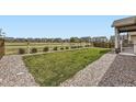 Manicured backyard with fresh lawn and decorative gravel landscaping at 515 176Th Ave, Broomfield, CO 80023