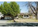This single-story home features a well-kept lawn and mature trees, creating a serene and inviting outdoor space at 9910 Winona St, Westminster, CO 80031