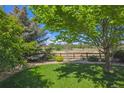 Lush backyard showcasing a fenced-off view of nature behind a beautifully kept green lawn at 3480 Spruce Dell Ct, Castle Rock, CO 80109