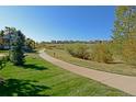 Scenic paved path through a green space with houses in the background at 3480 Spruce Dell Ct, Castle Rock, CO 80109