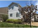 Back of home with gray siding, lawn, and young maple tree at 1160 S Fultondale Ct, Aurora, CO 80018