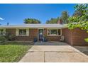 Classic brick home with a blue front door, manicured lawn, and an inviting concrete porch at 305 Cottonwood Ct, Longmont, CO 80501