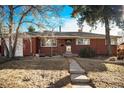 Brick ranch house with a landscaped yard and walkway at 8550 E Davies Pl, Centennial, CO 80112