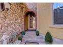 Charming entryway features an arched doorway, brick steps, and decorative potted plants at 9546 Firenze Way, Highlands Ranch, CO 80126