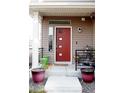 Front porch featuring a red door with sidelights, a small overhang, and decorative potted plants at 2848 Merry Rest Way, Castle Rock, CO 80109