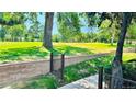Expansive green backyard view highlighting lush grass, mature trees, and a serene, park-like setting at 13894 E Lehigh Ave # G, Aurora, CO 80014