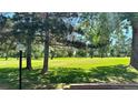 Picturesque greenspace featuring mature trees, manicured grass, and open skies, creating a serene and inviting atmosphere at 13894 E Lehigh Ave # G, Aurora, CO 80014