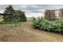 Spacious backyard area surrounded by green foliage and a metal shade structure overgrown with vines at 12904 N 3Rd St, Parker, CO 80134