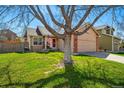 Attractive exterior view with vibrant green lawn and a mature tree providing shade and curb appeal at 3303 Blue Grass Cir, Castle Rock, CO 80109