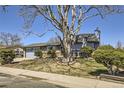 Landscaped home with mature tree, stone accents, and well-maintained lawn at 11123 Clermont Dr, Thornton, CO 80233