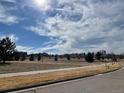 Subdivision with houses, open space, and walking paths at 6792 Longpark Dr, Parker, CO 80138