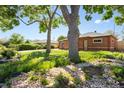 Landscaped front yard with mature trees, showcasing the brick exterior of the cozy, single-story home at 1560 Pueblo Ct, Thornton, CO 80229
