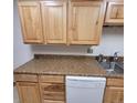 Kitchen featuring light wood cabinets and speckled countertops, complete with a stainless steel sink at 755 S Clinton St # 1B, Denver, CO 80247