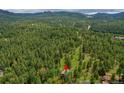 Aerial view of the charming home nestled within a lush, green forest at 28065 Camel Heights Cir, Evergreen, CO 80439