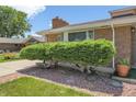Brick home with trimmed bushes and a sidewalk leading to the front door at 4705 Upham St, Wheat Ridge, CO 80033