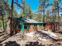 Exterior of wood cabin featuring green trim, patio area, and storage shed surrounded by pine trees at 5235 Cheyenne Rd, Indian Hills, CO 80454