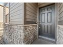 Close up of a home's front door framed by stone veneer and matching trim at 18014 Tree Sparrow Ave, Parker, CO 80134