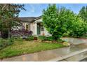 Charming single-story home with lush landscaping, beautiful lawn and well-maintained garden at 3534 Starry Night Loop, Castle Rock, CO 80109