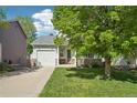 Beautifully landscaped front yard with healthy green lawn and mature shade tree enhance this charming home's curb appeal at 6142 Gorham St, Frederick, CO 80530