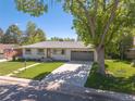 Inviting home with fresh paint, manicured lawn, a driveway, and mature trees, great curb appeal at 13402 W 24Th Pl, Golden, CO 80401