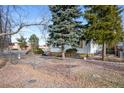Large, fenced backyard with mature trees surrounding, and a charming single-story home at 1994 Macon St, Aurora, CO 80010