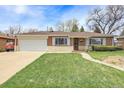 Well-maintained brick ranch-style home featuring a manicured front lawn and attached garage at 375 Kohl St, Broomfield, CO 80020