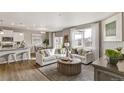 Cozy living room featuring lots of natural light, a modern fireplace, and open floor plan at 4837 Cattle Cross Ln, Castle Rock, CO 80104