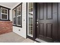 Close-up of front entry with modern door hardware, sidelight windows, and brick detailing at 3654 Paintbrush Ln, Parker, CO 80138