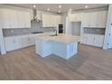 Spacious kitchen features a large center island, white cabinets, stainless steel appliances, and light wood flooring at 1667 Fox Trotter Pt, Castle Rock, CO 80104