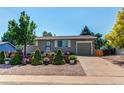 Inviting single-story home featuring a well-manicured lawn with mature trees and retaining wall at 6120 W 111Th Ave, Westminster, CO 80020