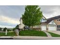 Well-maintained home with a lush green lawn and mature tree, providing shade and curb appeal at 22962 Briar Leaf Ave, Parker, CO 80138