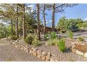 Charming front yard landscaping with native trees and a stone-lined flower bed at 19 Rock Ln, Castle Rock, CO 80104