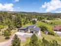 Aerial view showcasing the modern home nestled within a lush, green landscape of trees and well-manicured lawns at 3630 Mesa Verde Rd, Monument, CO 80132