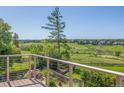 Beautiful backyard view from the deck with green grass and clear sky at 1324 Shadow Mountain Dr, Highlands Ranch, CO 80126