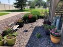Lovely garden area featuring various potted plants and flowers amidst decorative stone at 5455 S Dover S St # 102, Littleton, CO 80123