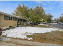 Cozy home featuring a brick facade and a mature tree in the front yard at 300 S Simms St, Lakewood, CO 80228