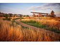 Picturesque community park featuring a walking path and shaded picnic area amidst golden prairie grasses at 21176 E 62Nd Dr, Aurora, CO 80019