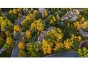 Picturesque aerial shot of a home surrounded by colorful autumn foliage and tree-lined streets at 1350 E Greenwood Ln, Greenwood Village, CO 80121